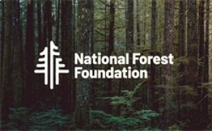 Jeep Wrangler JL Unlimited Performance Exhaust - Rear - Magnaflow - Overland Series Cat-Back - `18-`24