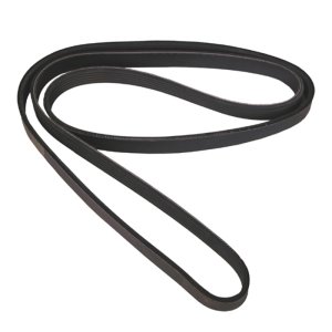 Jeep Wrangler Serpentine Belt - OMIX - 6-groove, Without AC - `00-`06