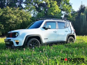 Jeep Renegade Roof Rack Ladder