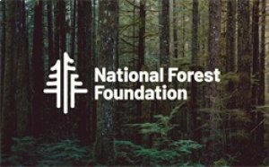 Jeep Wrangler JL Cat-Back Performance Exhaust System - Rear - Magnaflow - Overland Series - V6 - `18-`23