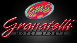 Jeep Wagoneer - GMS MPG Plus Ignition Wires