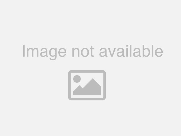 Jeep Wrangler JL Nitrocharger Plus Shock - Front - ARB - 2018