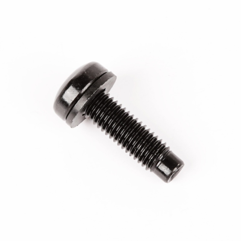 Jeep Wrangler Unlimited LJ Hardtop Retaining Bolt - OMIX - M8-1.25x25 - `04-`06