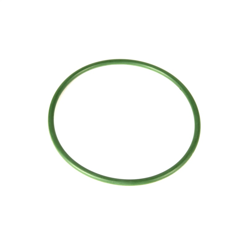 Jeep Liberty Fuel Pump O-Ring - OMIX - Fuel Pump Module Seal - `05-`12